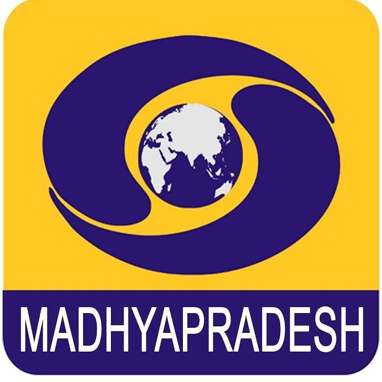 DD MP
